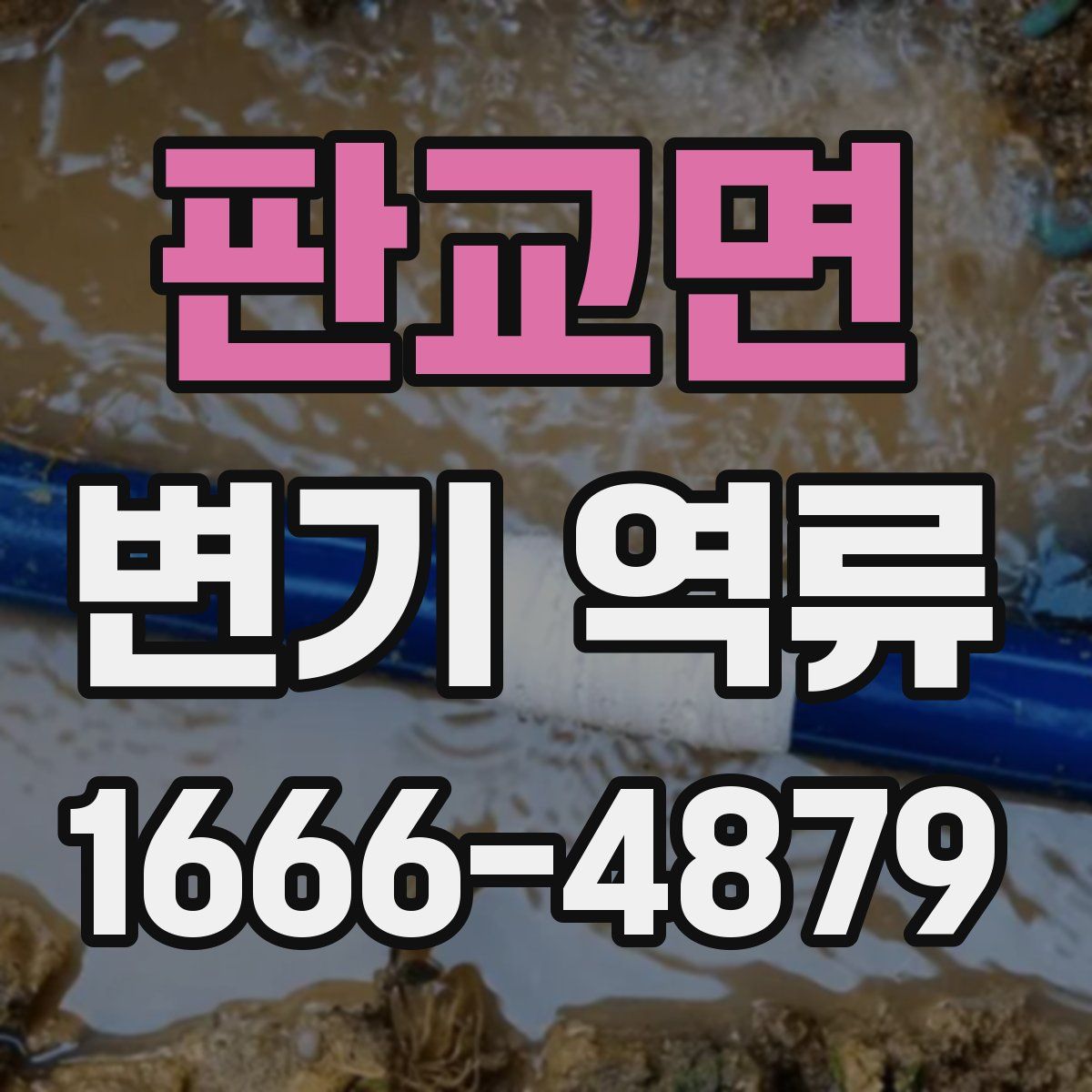 판교면 변기 역류