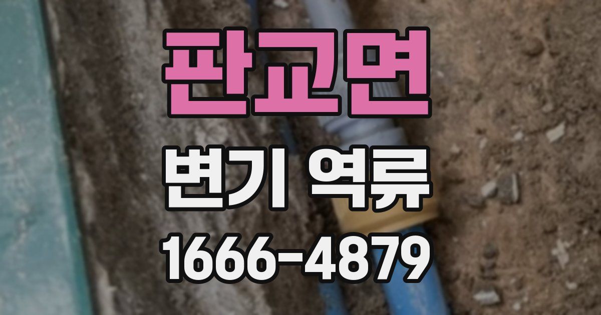 판교면 변기 역류