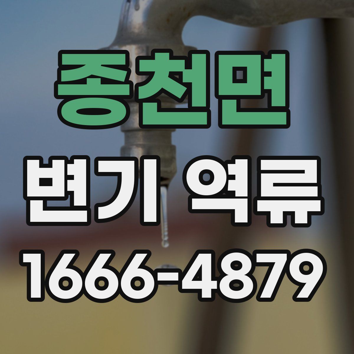 종천면 변기 역류