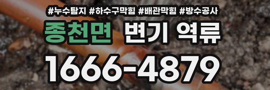 종천면 변기 역류