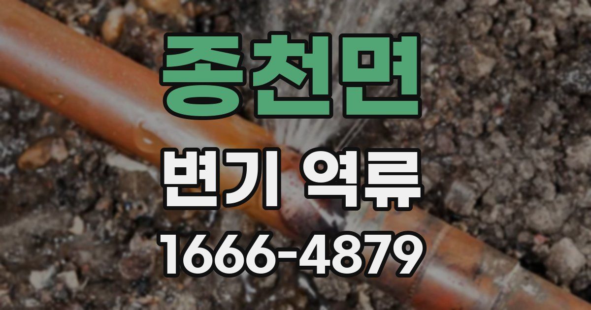종천면 변기 역류