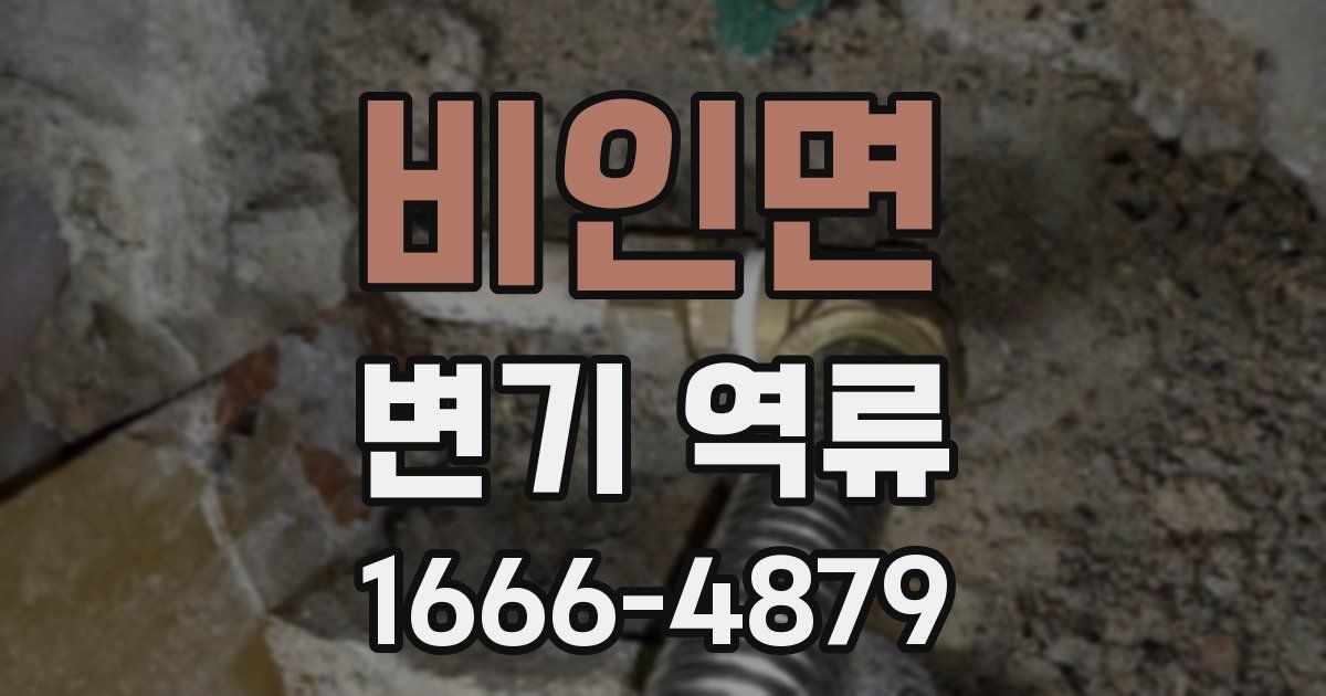 비인면 변기 역류