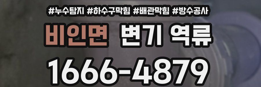 비인면 변기 역류