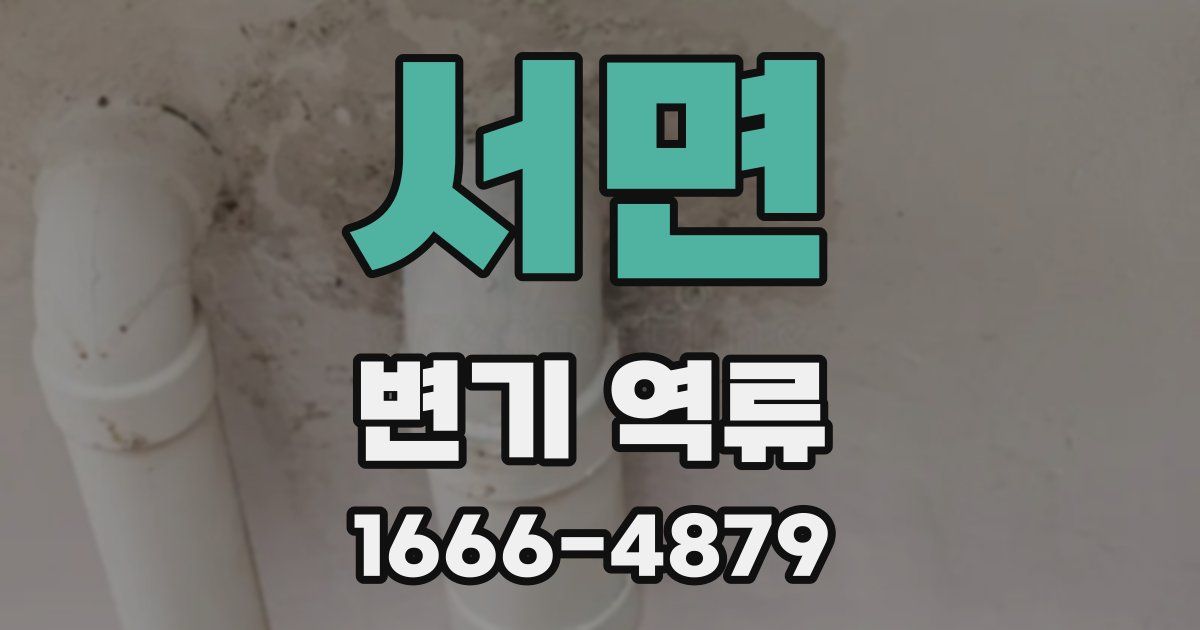 서면 변기 역류