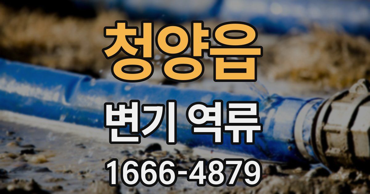 청양읍 변기 역류