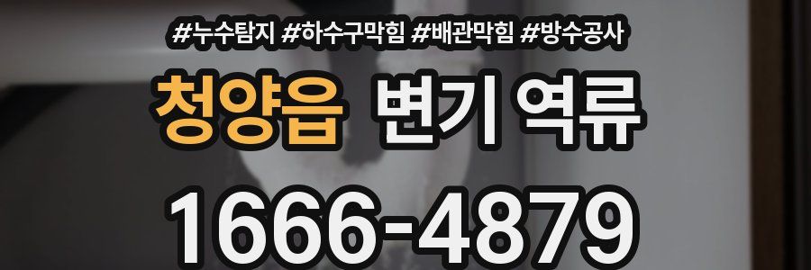 청양읍 변기 역류