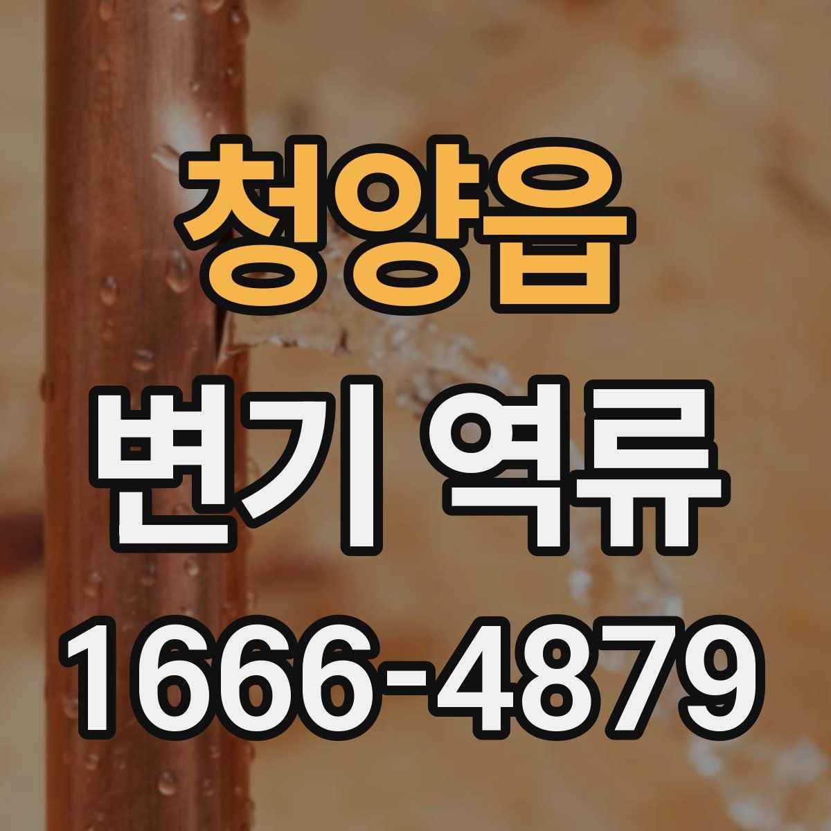 청양읍 변기 역류