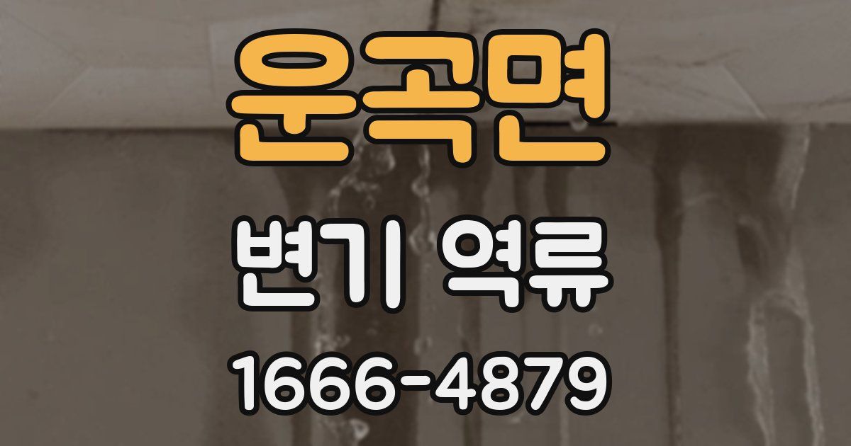 운곡면 변기 역류