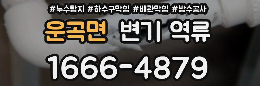 운곡면 변기 역류