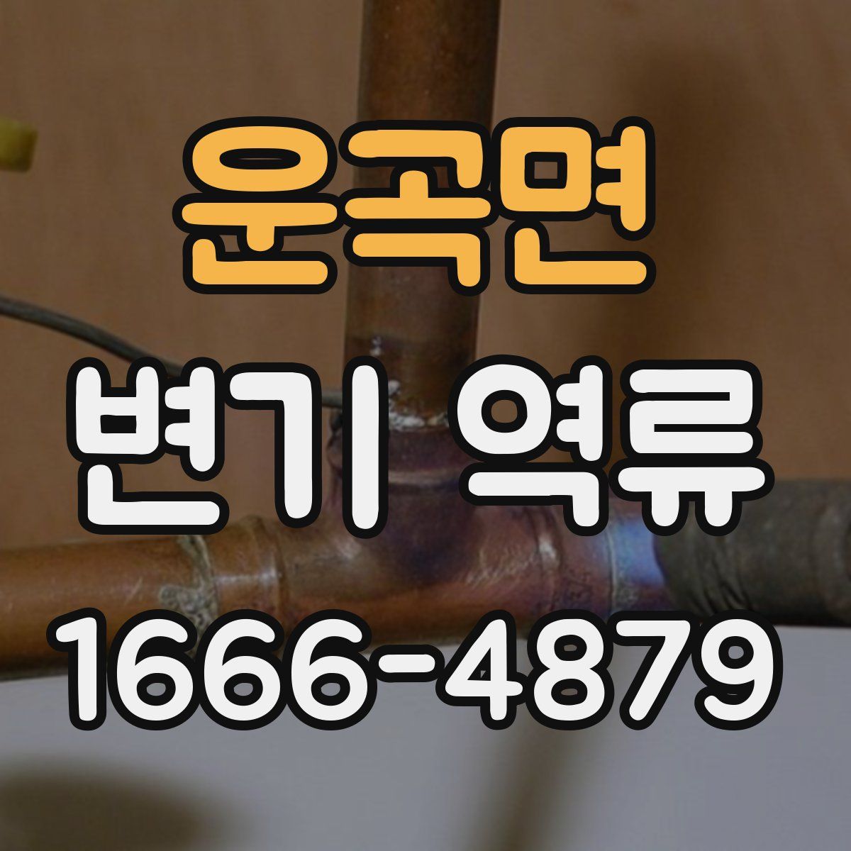 운곡면 변기 역류