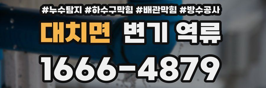 대치면 변기 역류