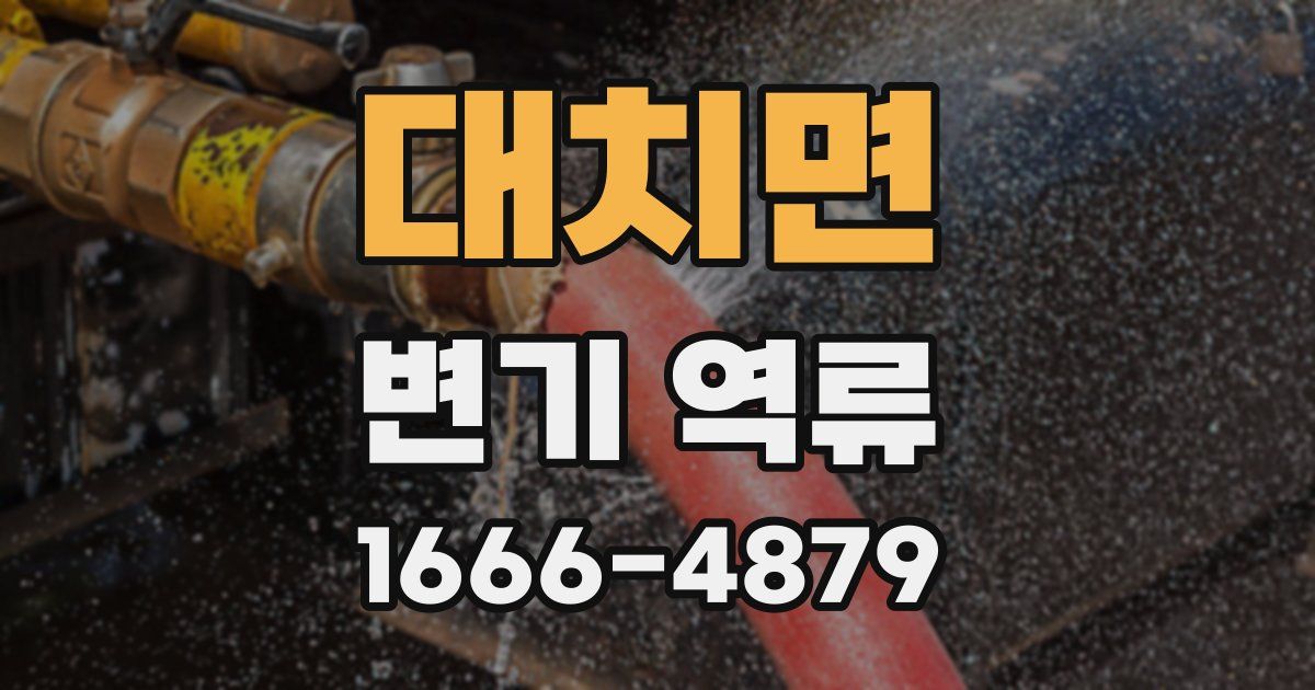 대치면 변기 역류