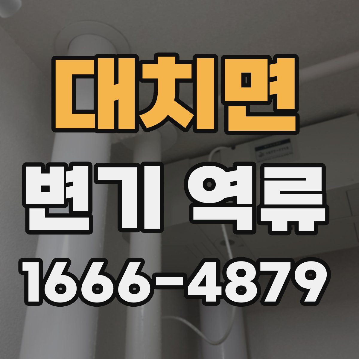대치면 변기 역류