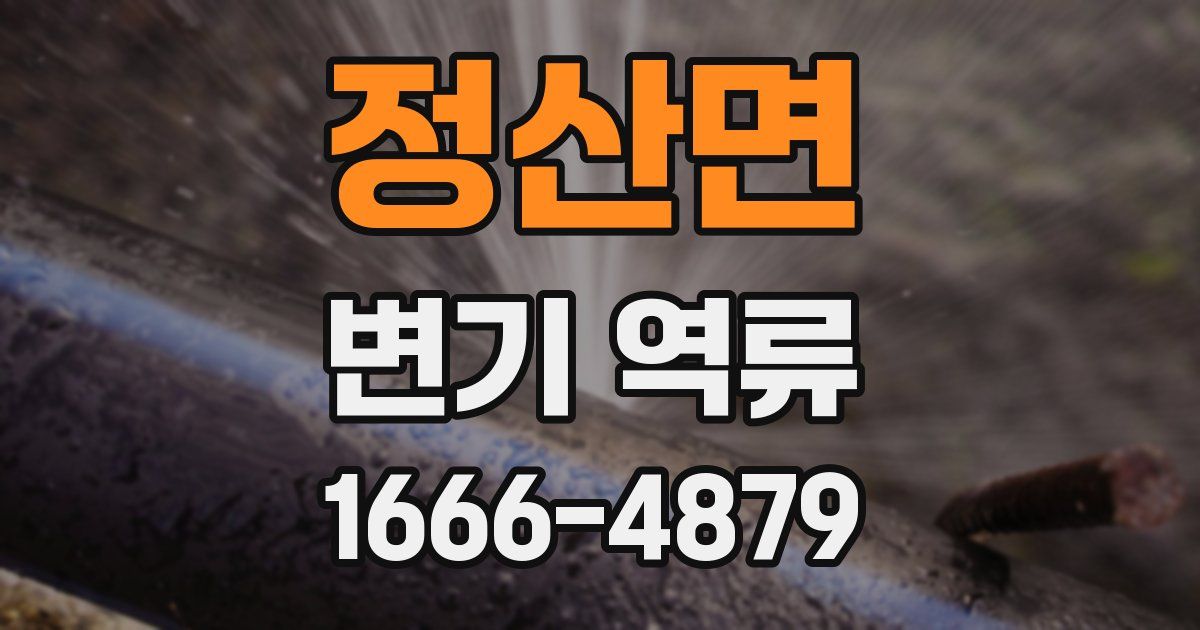 정산면 변기 역류