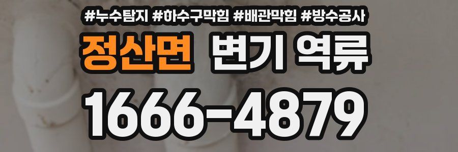 정산면 변기 역류