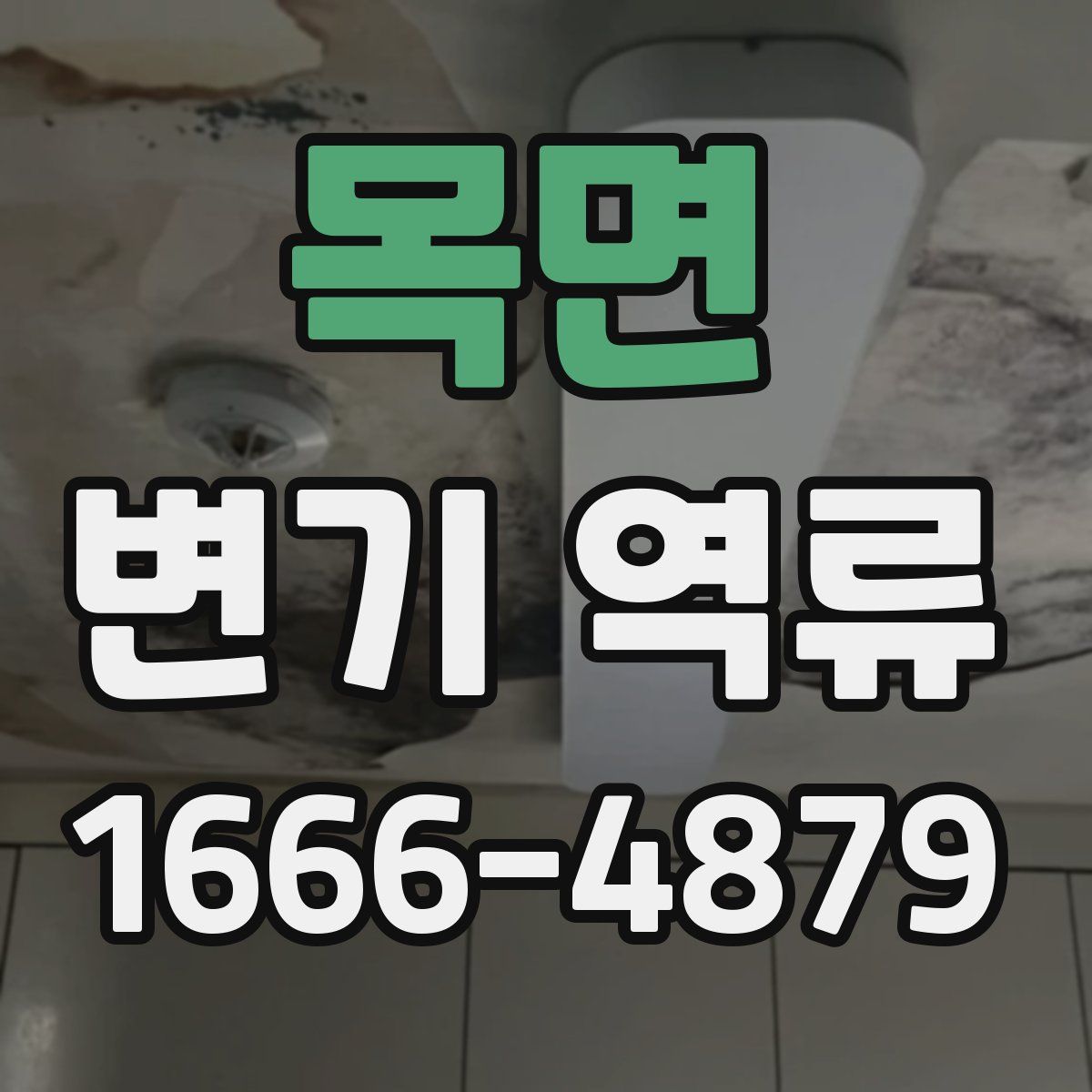 목면 변기 역류