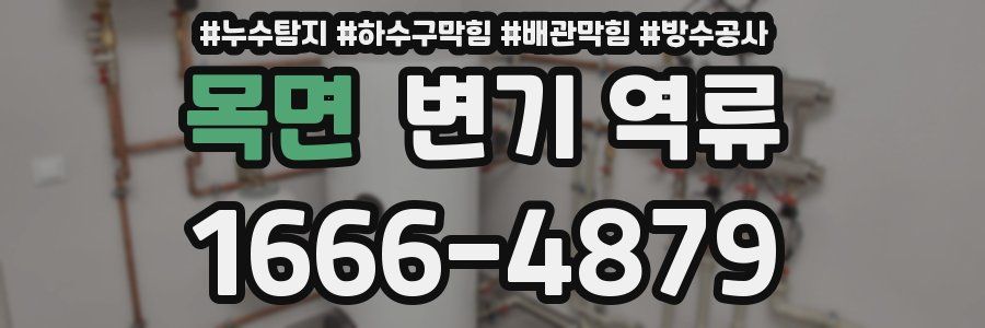 목면 변기 역류