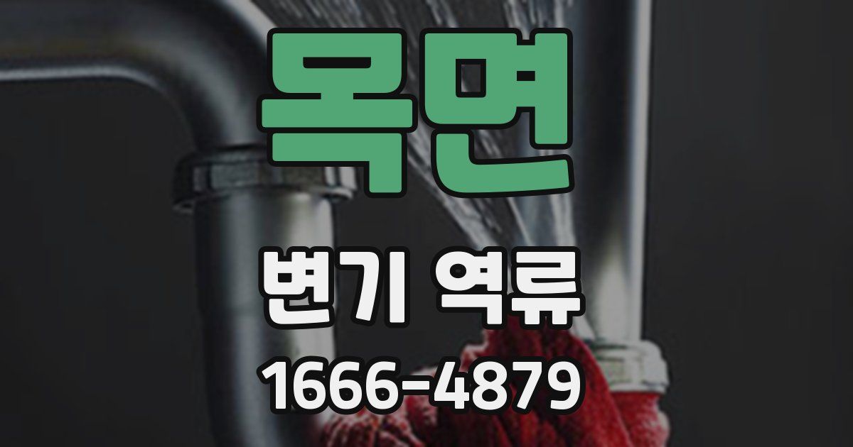 목면 변기 역류
