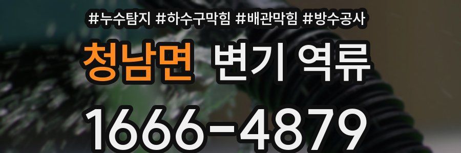 청남면 변기 역류