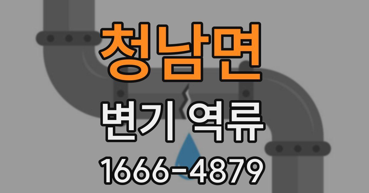 청남면 변기 역류