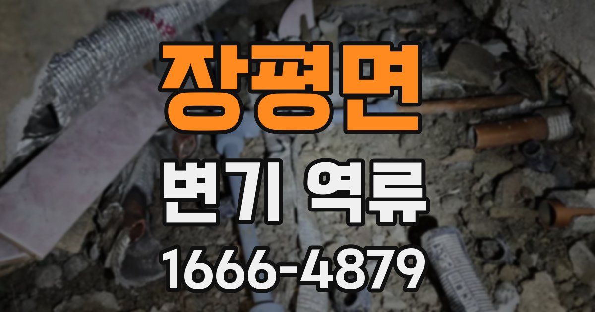 장평면 변기 역류