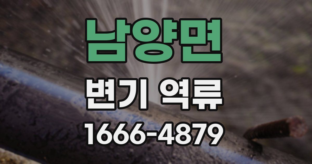 남양면 변기 역류