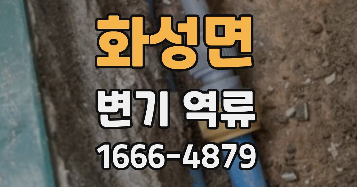 화성면 변기 역류