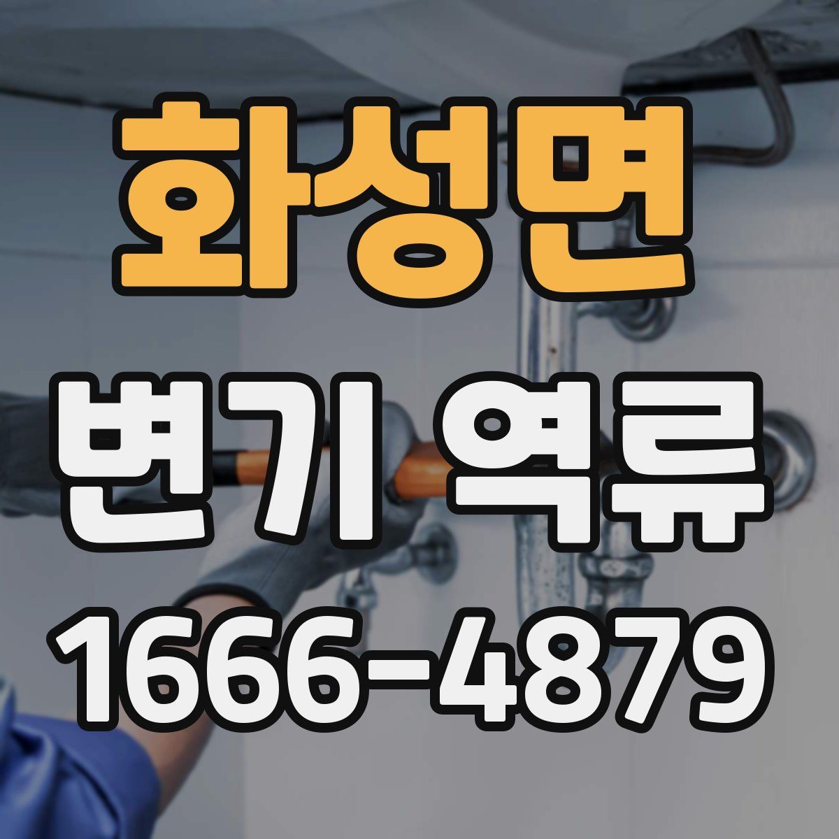 화성면 변기 역류