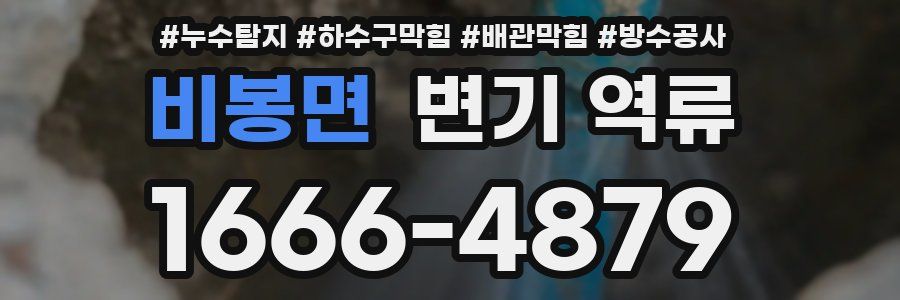 비봉면 변기 역류