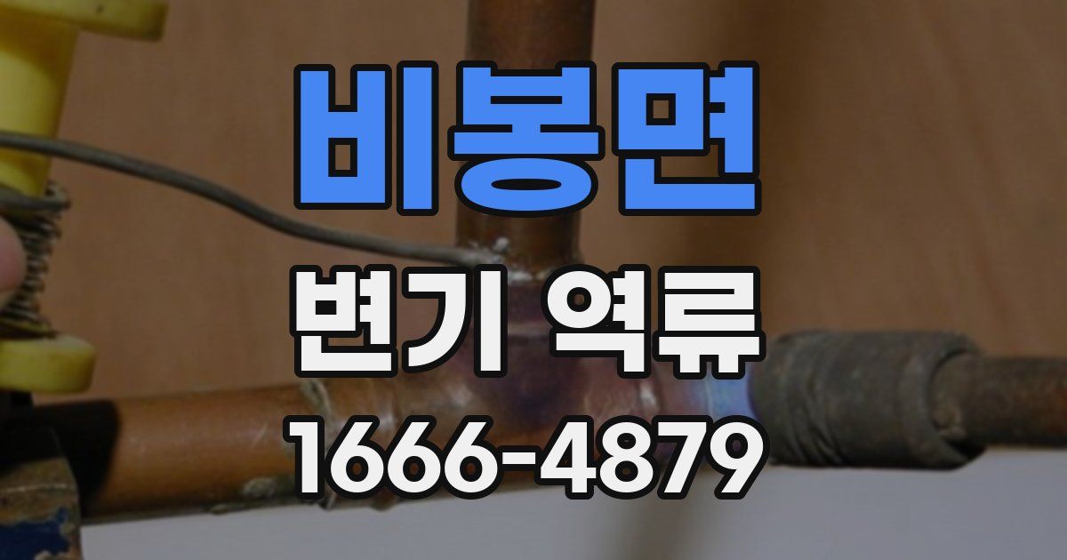 비봉면 변기 역류