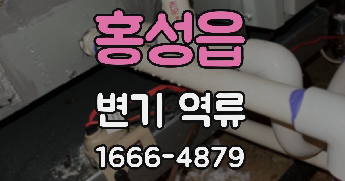홍성읍 변기 역류