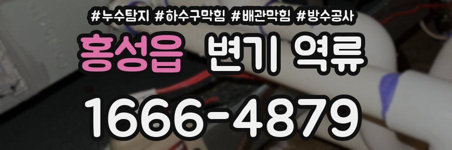 홍성읍 변기 역류