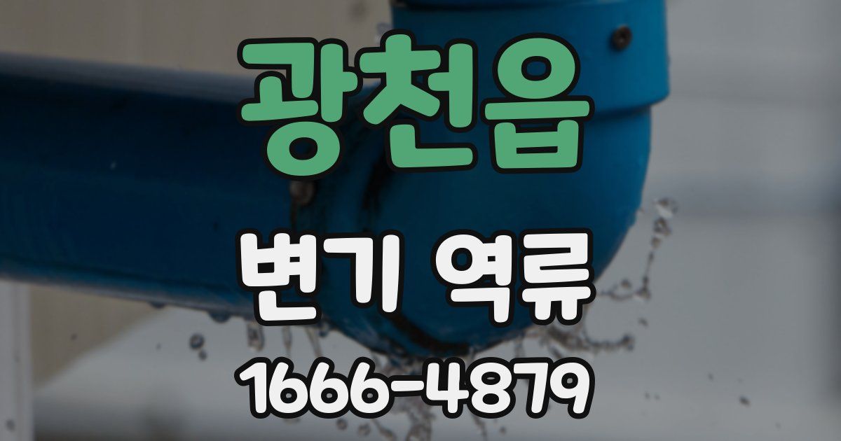 광천읍 변기 역류