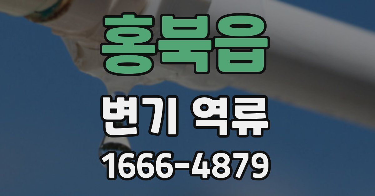 홍북읍 변기 역류