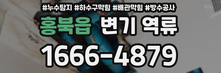 홍북읍 변기 역류