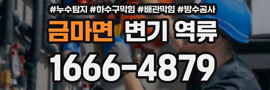 금마면 변기 역류