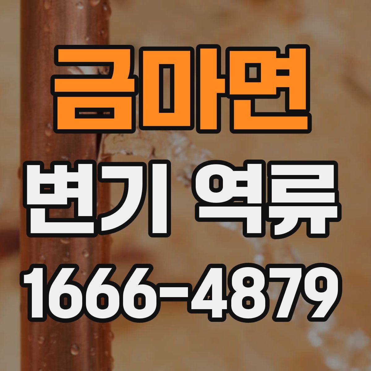 금마면 변기 역류