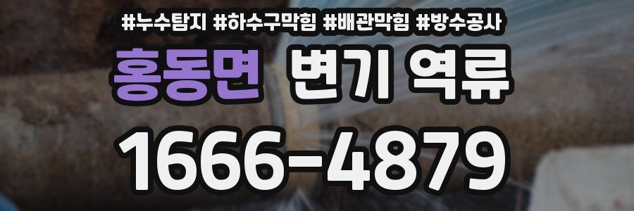 홍동면 변기 역류