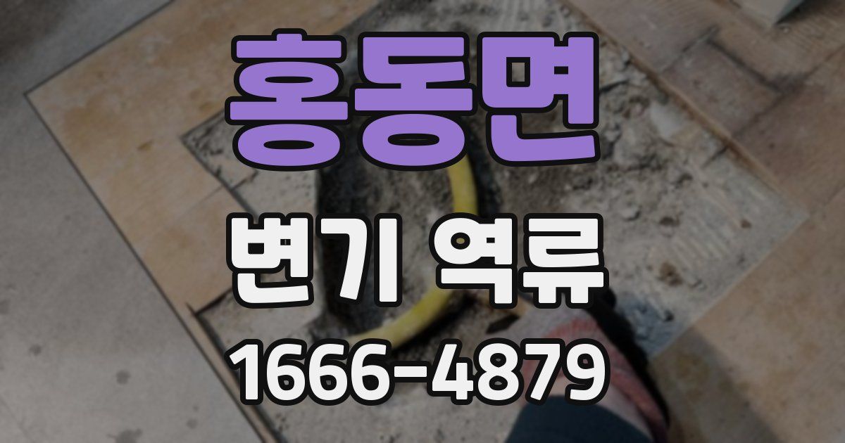 홍동면 변기 역류