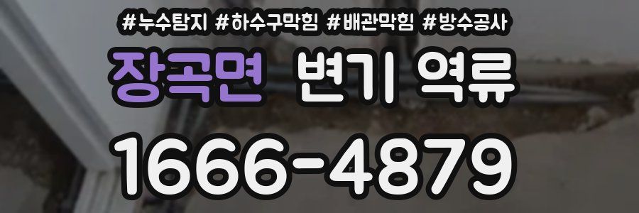 장곡면 변기 역류