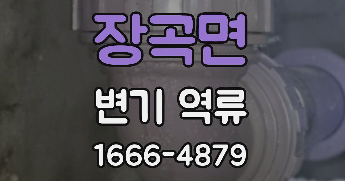 장곡면 변기 역류