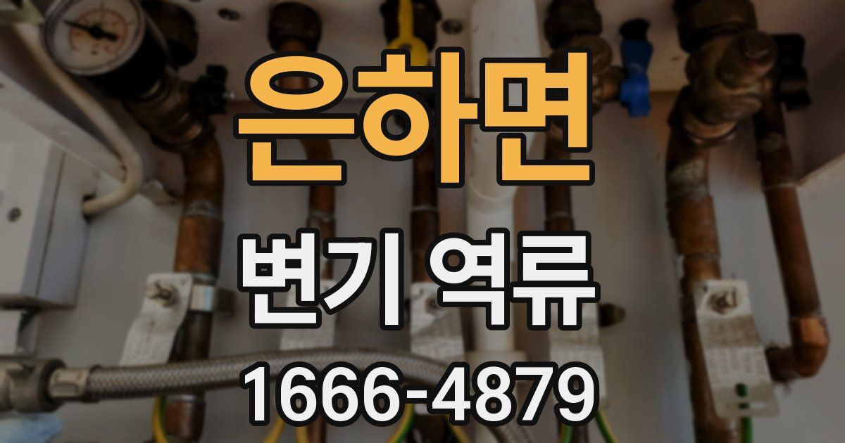 은하면 변기 역류