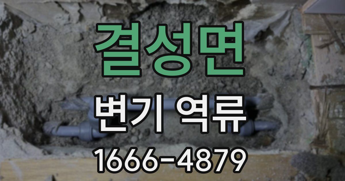 결성면 변기 역류