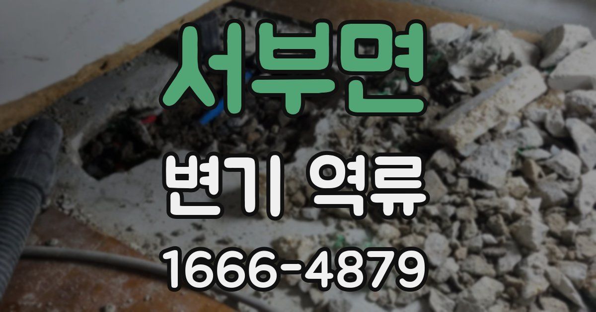 서부면 변기 역류