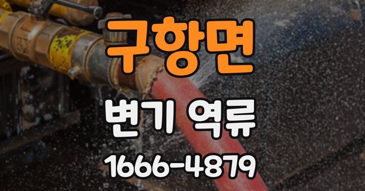 구항면 변기 역류
