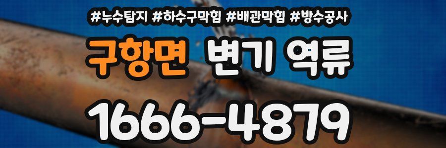 구항면 변기 역류
