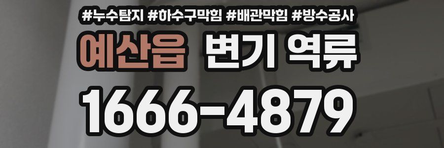 예산읍 변기 역류