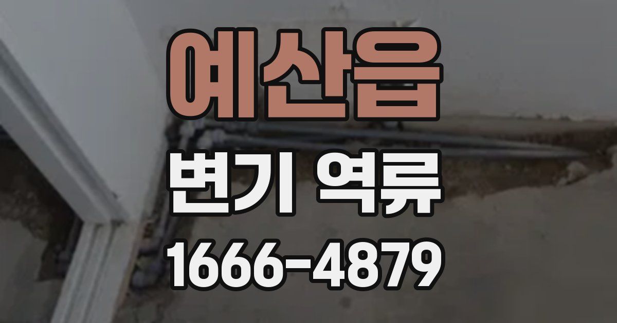 예산읍 변기 역류