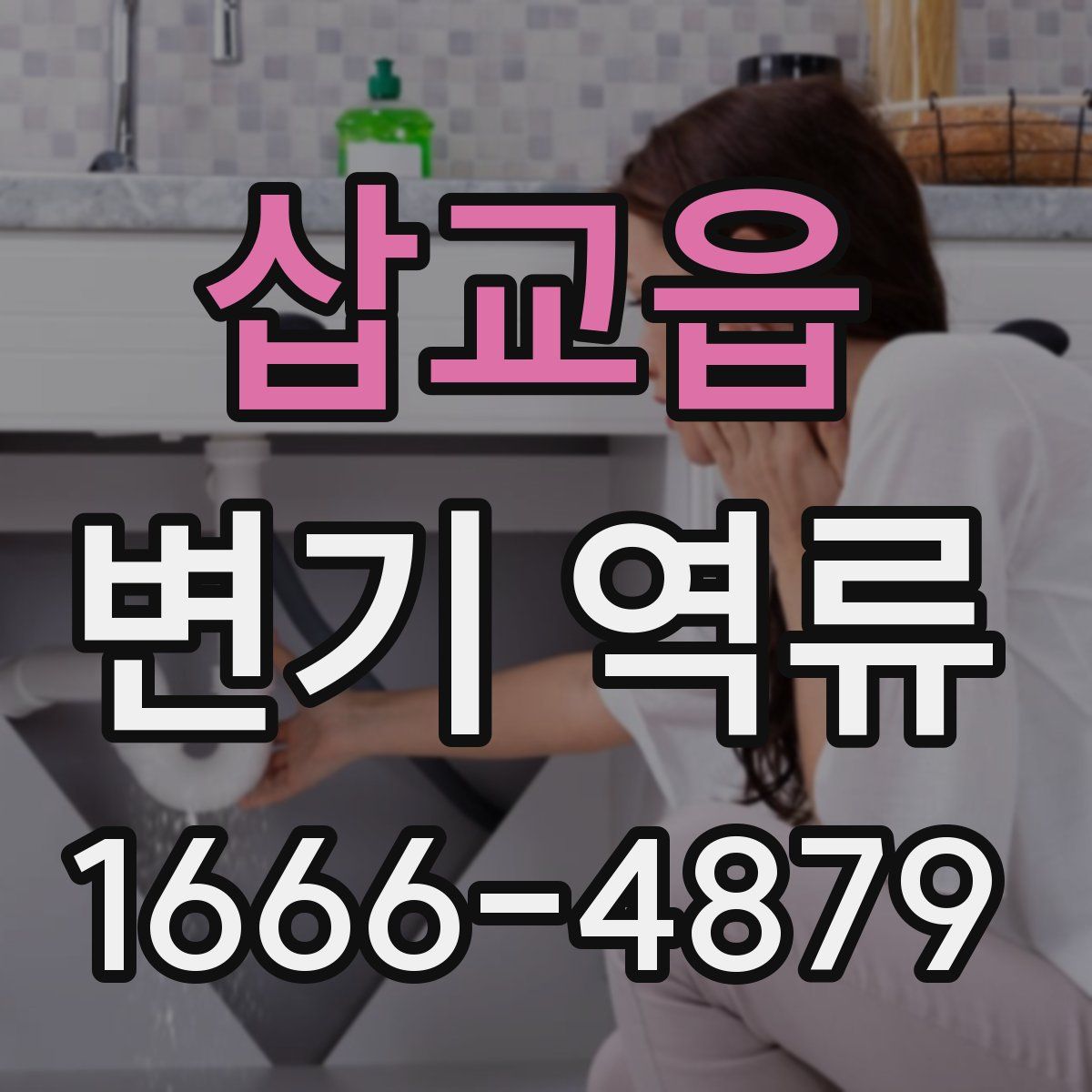 삽교읍 변기 역류