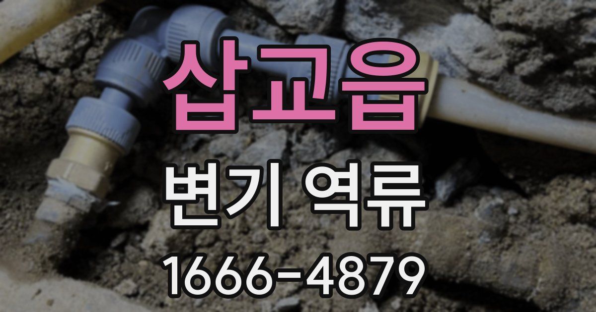 삽교읍 변기 역류